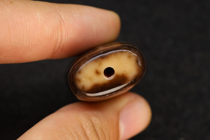 Dzi  9 Mắt Mai Rùa - Ảnh 5